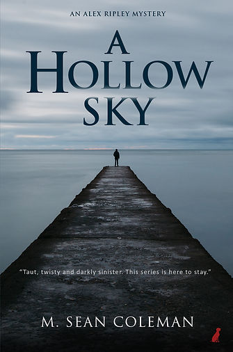 A_Hollow_Sky_eBookCover_NEW.jpg